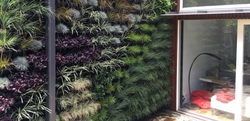 Wall full of plants