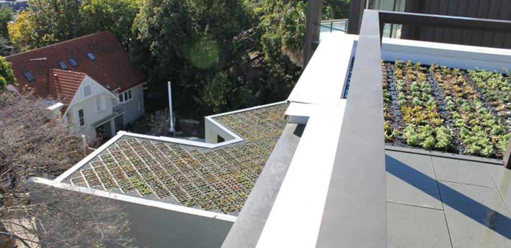 Extensive Green Roof with 500 MEP trays