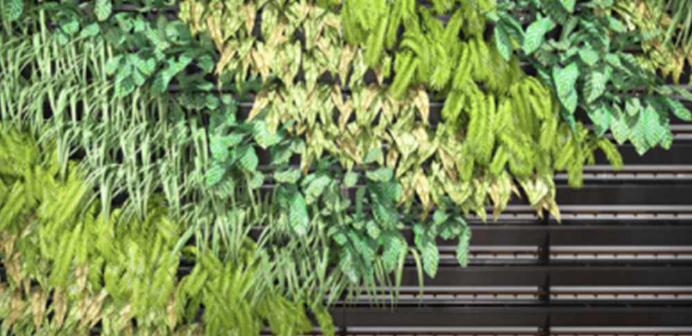 Elmich Ready to Launch Fire Resistant Greenwall System
