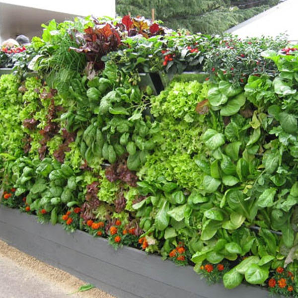 Garsy-Mobiwall-B