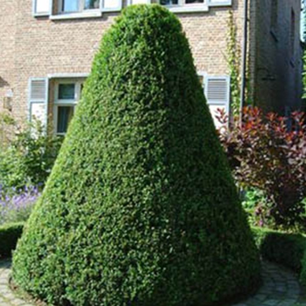 Garsy-Vertical-Garden-C