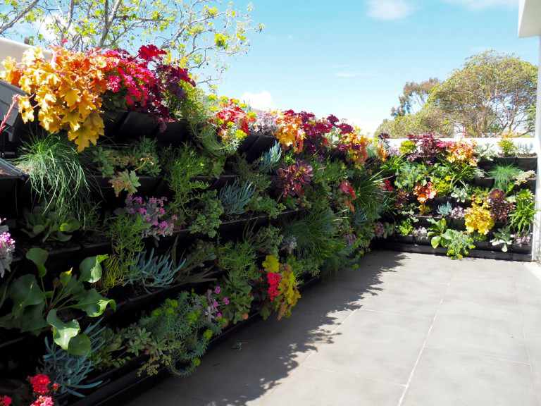 Wall of plants and flowers