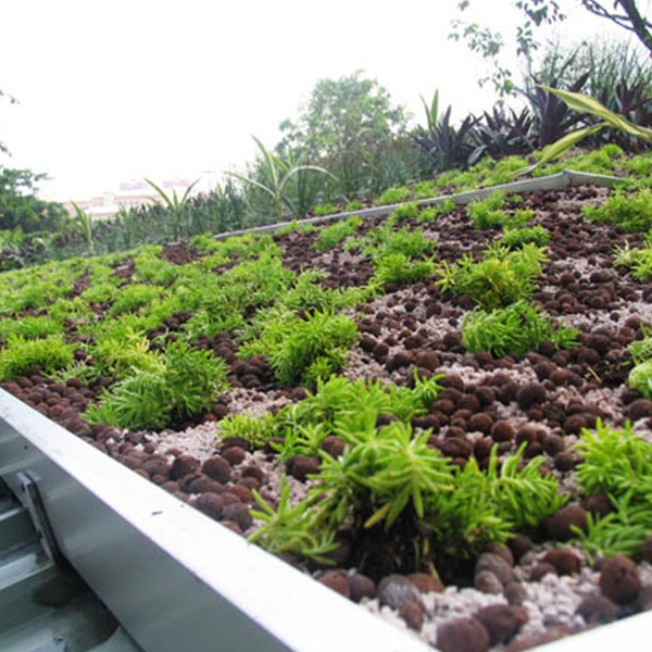 green roof d