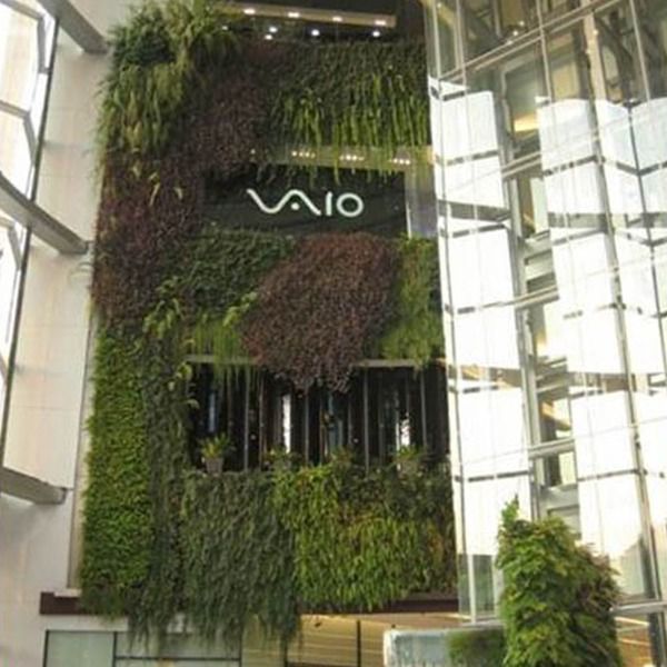 green wall i