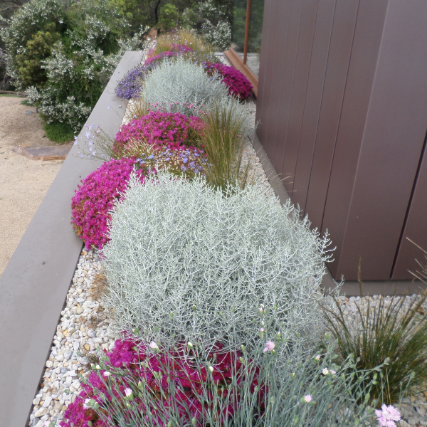 Green Roof Elmich MEP
