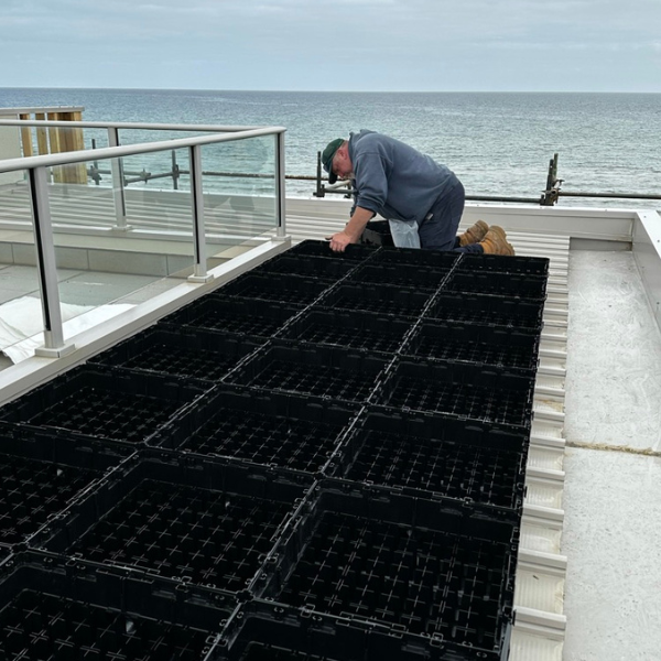 Green Roof Elmich MEP