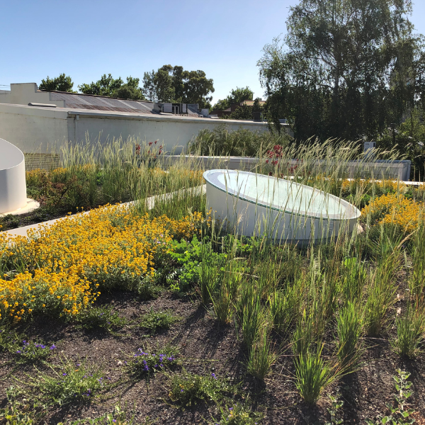 Green Roof Elmich MEP
