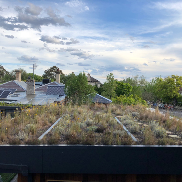 Green Roof Elmich MEP