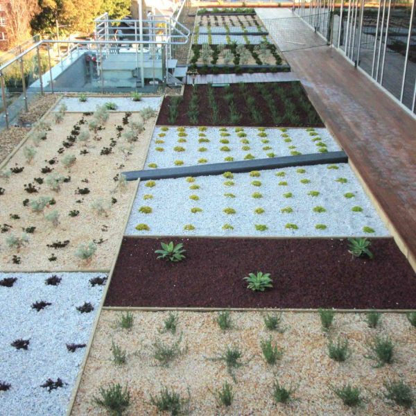 Green Roof Elmich MEP