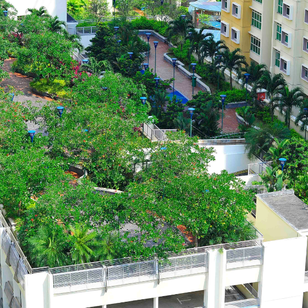Green Roof Elmich MEP