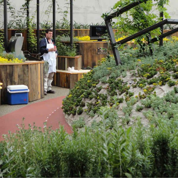 Green Roof Elmich MEP