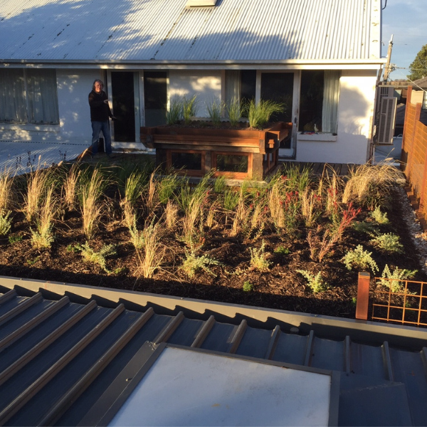 Green Roof Elmich MEP